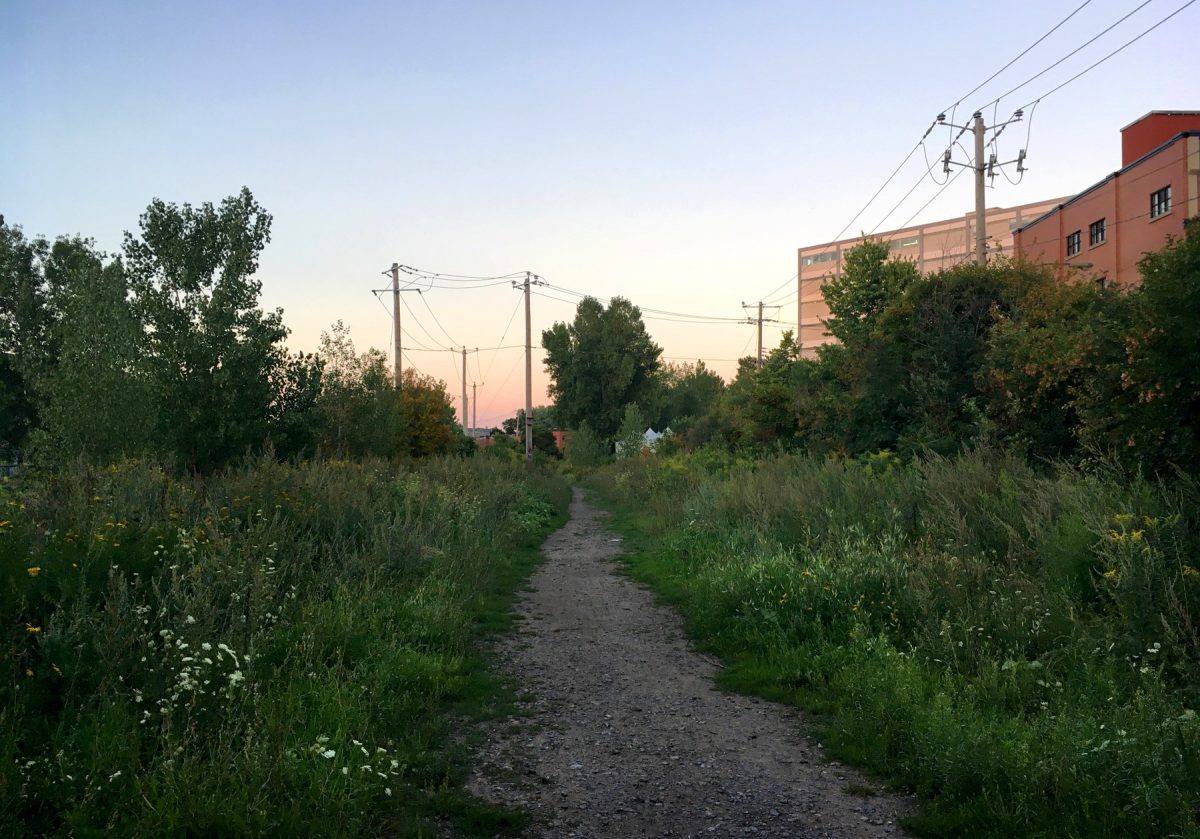 Champ des possibles field in Montreal at dusk
