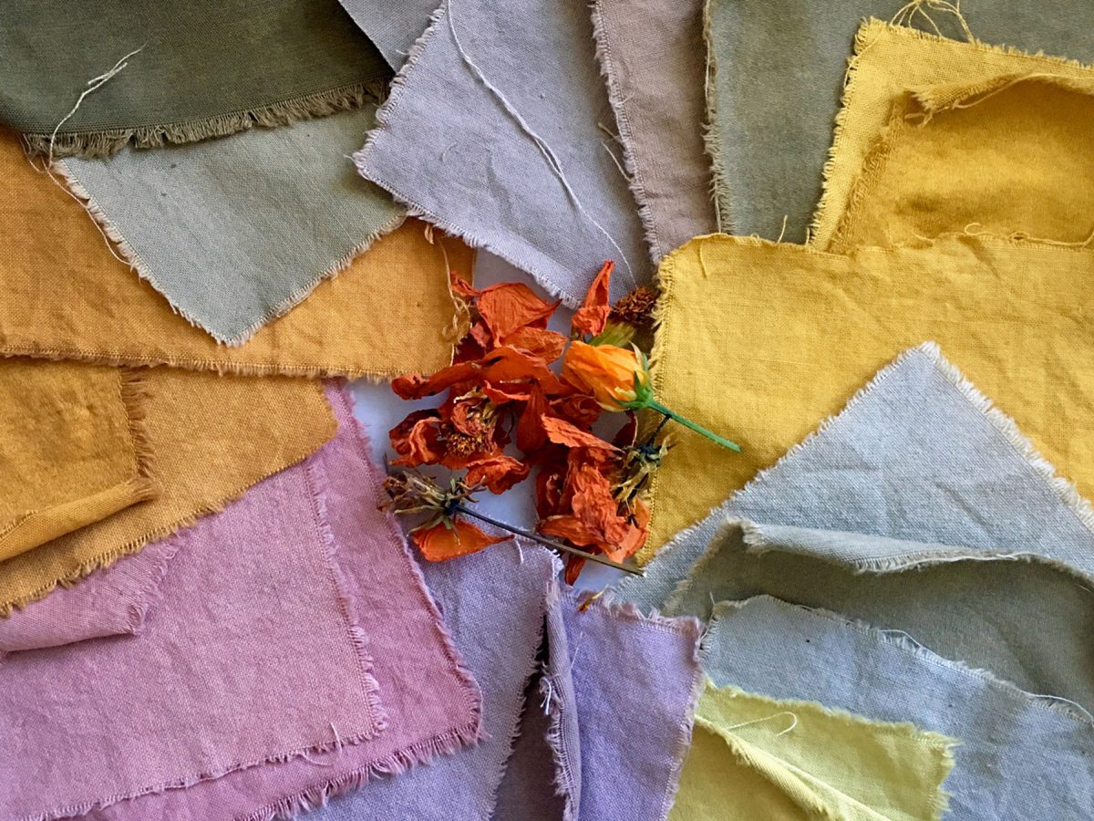 Naturally-dyed fabric swatches laying flat with some dye plants at centre