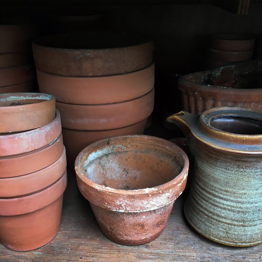 Pots on a shelf in a potting shed