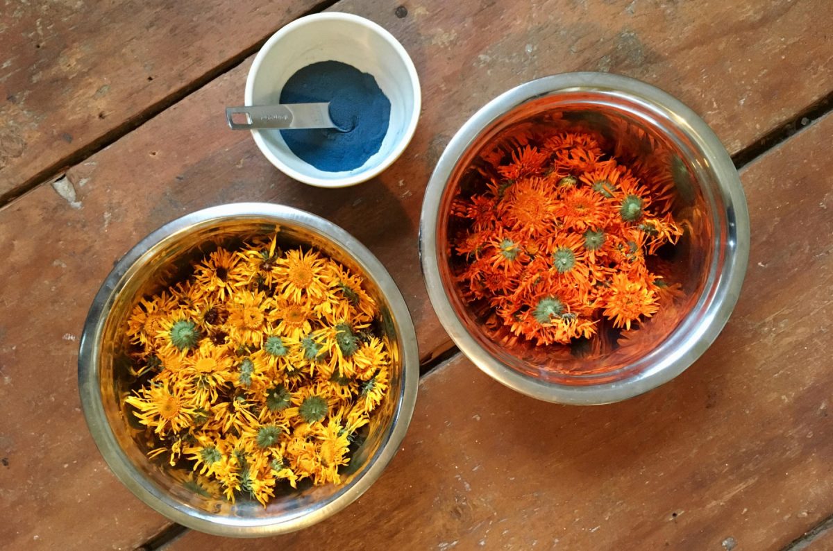 Dried calendula and indigo powder