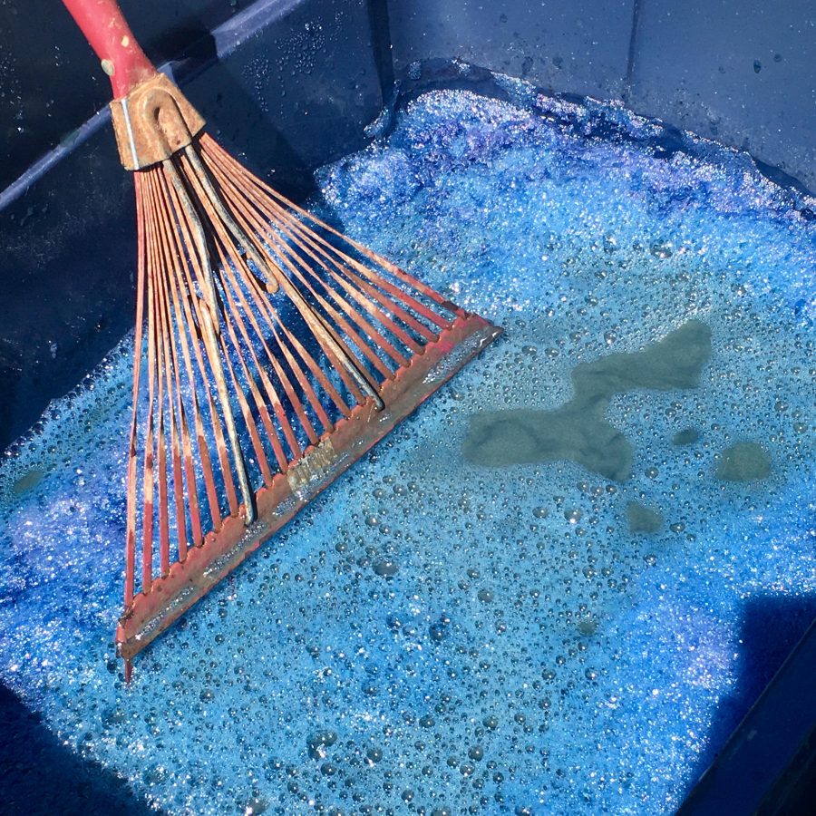Indigo pigment during the extraction process