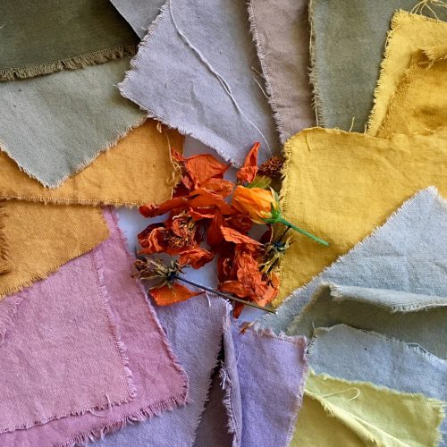 Naturally-dyed fabric swatches laying flat with some dye plants at centre