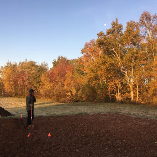 Calvin looking at a midday moon, trees with fall colour