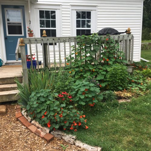 House garden beds
