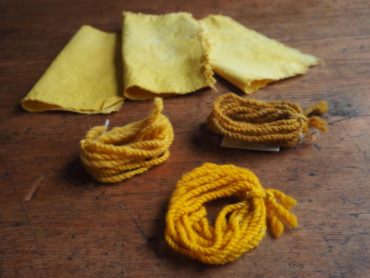 Marigold natural dye colour swatches