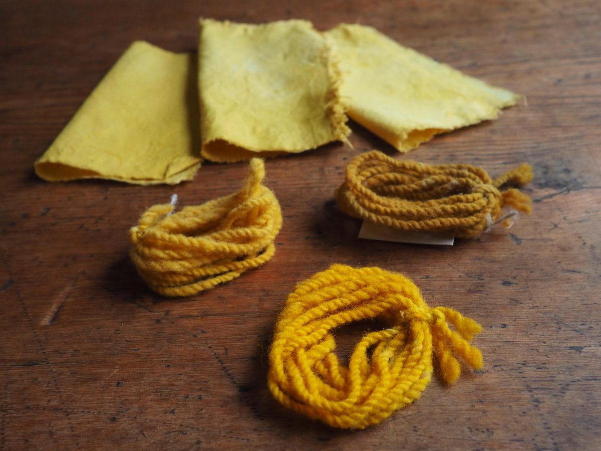 Marigold natural dye colour swatches