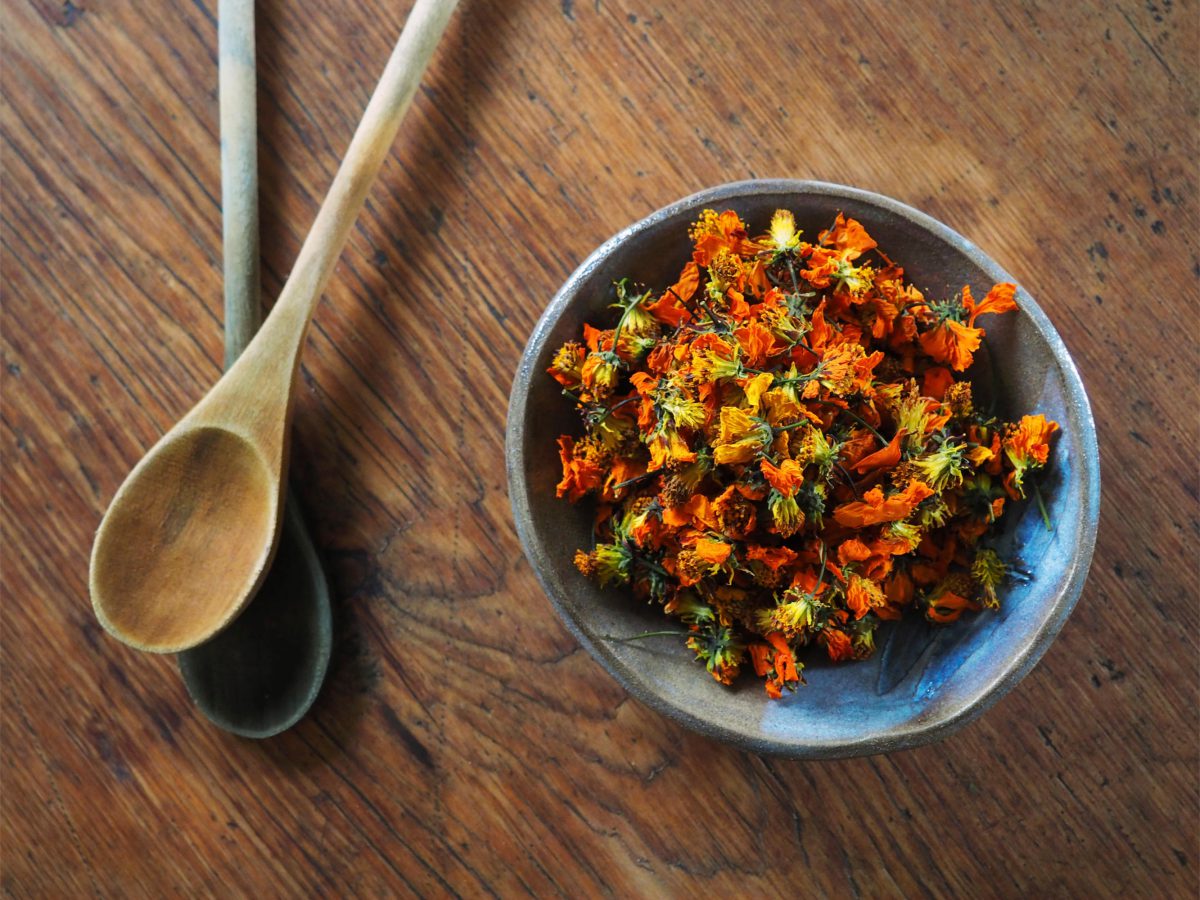 Orange Cosmos natural plant dye in a bowl