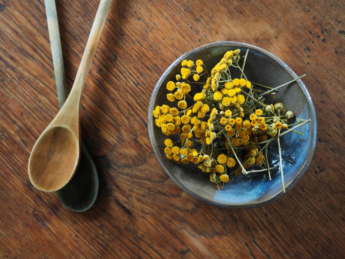 Bowl of Tansy flower tops