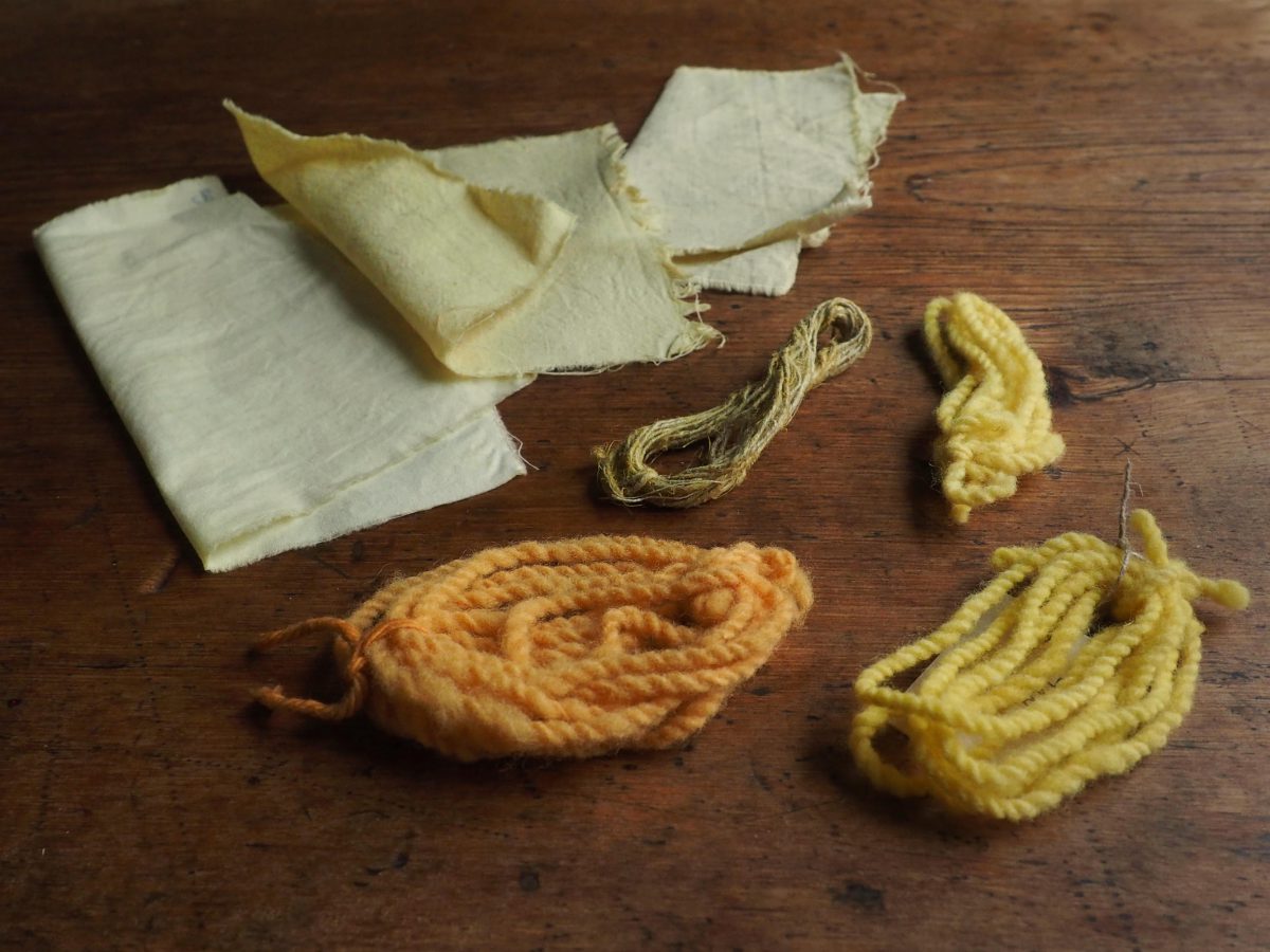 Tansy natural dye colour swatches