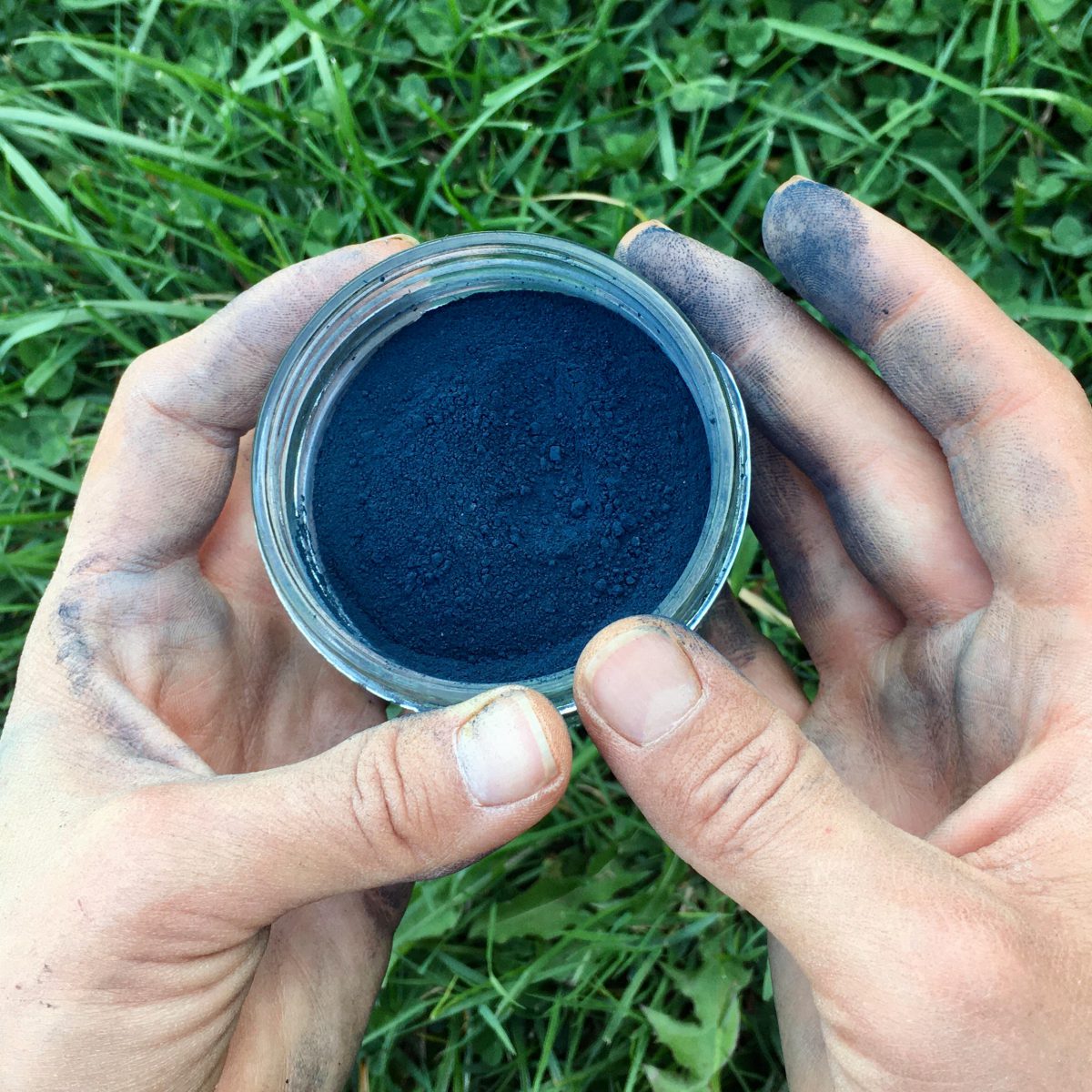 Hands holding indigo powder in a jar