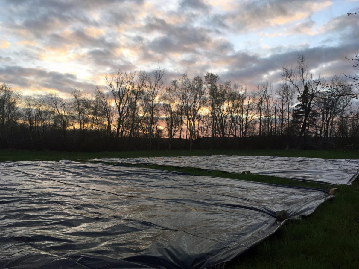 Tarps on a flat farm field at sunset