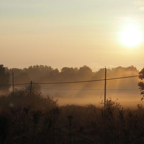 Misty morning sunrise