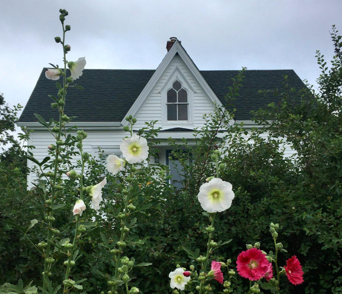 Gothic revival farmhouse with pink and white hollyhocks in the foreground