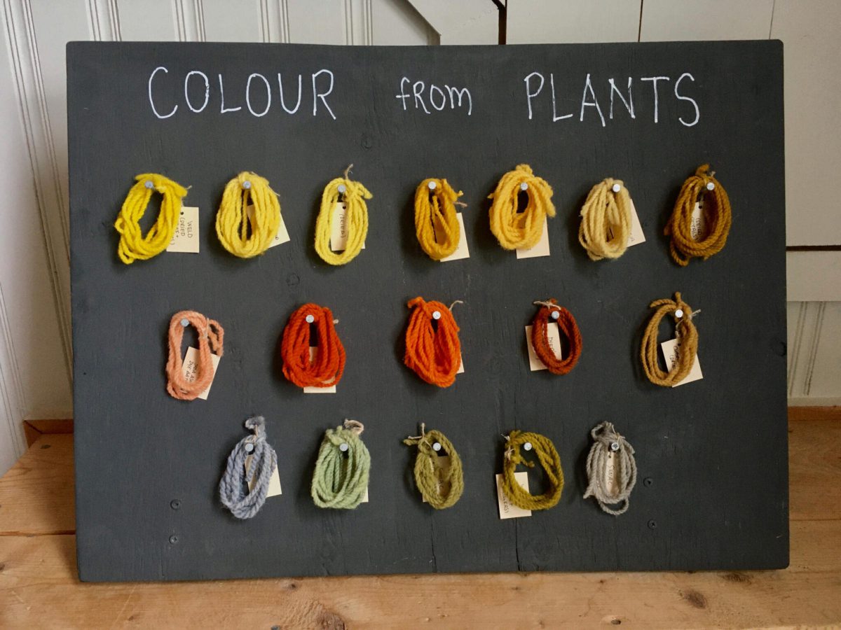 Small yarn samples on a display board showing a rainbow of natural dye colours